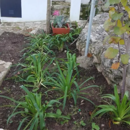 Apartment Santo Antonio