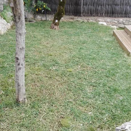 Santo Antonio Apartment