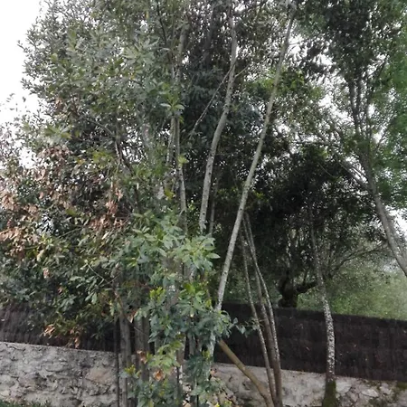 Santo Antonio Lägenhet Serra do Mouro