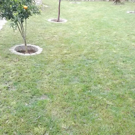 Santo Antonio Apartment