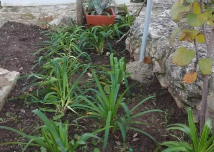 Apartment Santo Antonio